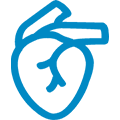 Symbol Kardiovaskul&auml;r