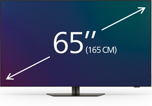 T&eacute;l&eacute;viseurs 65 pouces